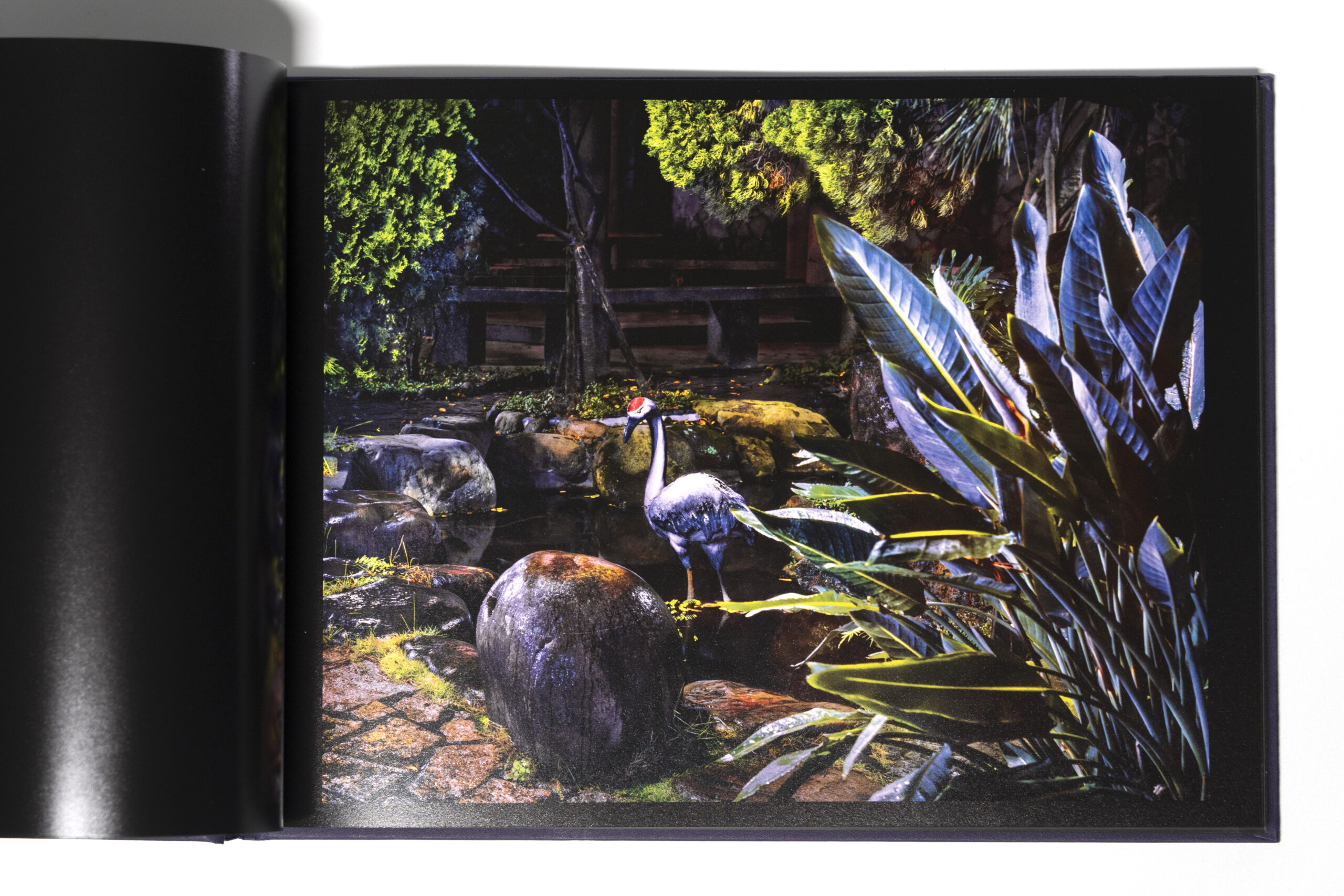 DSC03039